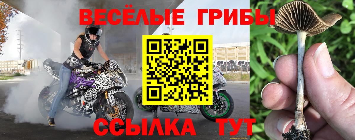 Псилоцибиновые грибы GOLDEN TEACHER  Вход с VPN  Воткинск  Псилоцибиновые грибы ЛСД 